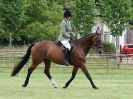 Image 233 in BECCLES AND BUNGAY RIDING CLUB OPEN SHOW. 17 JUNE 2018