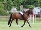 Image 234 in BECCLES AND BUNGAY RIDING CLUB OPEN SHOW. 17 JUNE 2018