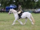 Image 240 in BECCLES AND BUNGAY RIDING CLUB OPEN SHOW. 17 JUNE 2018