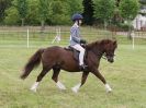 Image 242 in BECCLES AND BUNGAY RIDING CLUB OPEN SHOW. 17 JUNE 2018