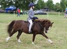 Image 243 in BECCLES AND BUNGAY RIDING CLUB OPEN SHOW. 17 JUNE 2018