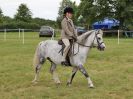 Image 244 in BECCLES AND BUNGAY RIDING CLUB OPEN SHOW. 17 JUNE 2018
