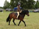 Image 246 in BECCLES AND BUNGAY RIDING CLUB OPEN SHOW. 17 JUNE 2018