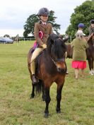 Image 248 in BECCLES AND BUNGAY RIDING CLUB OPEN SHOW. 17 JUNE 2018