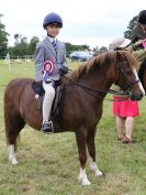 Image 249 in BECCLES AND BUNGAY RIDING CLUB OPEN SHOW. 17 JUNE 2018