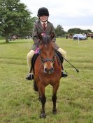 Image 251 in BECCLES AND BUNGAY RIDING CLUB OPEN SHOW. 17 JUNE 2018