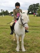 Image 252 in BECCLES AND BUNGAY RIDING CLUB OPEN SHOW. 17 JUNE 2018