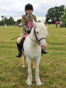 Image 252 in BECCLES AND BUNGAY RIDING CLUB OPEN SHOW. 17 JUNE 2018