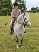 Image 253 in BECCLES AND BUNGAY RIDING CLUB OPEN SHOW. 17 JUNE 2018