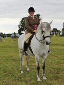 Image 254 in BECCLES AND BUNGAY RIDING CLUB OPEN SHOW. 17 JUNE 2018