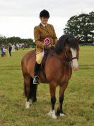 Image 255 in BECCLES AND BUNGAY RIDING CLUB OPEN SHOW. 17 JUNE 2018