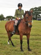 Image 256 in BECCLES AND BUNGAY RIDING CLUB OPEN SHOW. 17 JUNE 2018