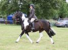 Image 258 in BECCLES AND BUNGAY RIDING CLUB OPEN SHOW. 17 JUNE 2018