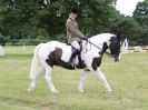 Image 259 in BECCLES AND BUNGAY RIDING CLUB OPEN SHOW. 17 JUNE 2018