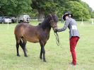 Image 26 in BECCLES AND BUNGAY RIDING CLUB OPEN SHOW. 17 JUNE 2018