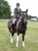 Image 261 in BECCLES AND BUNGAY RIDING CLUB OPEN SHOW. 17 JUNE 2018