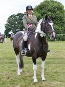 Image 262 in BECCLES AND BUNGAY RIDING CLUB OPEN SHOW. 17 JUNE 2018