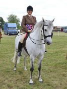 Image 272 in BECCLES AND BUNGAY RIDING CLUB OPEN SHOW. 17 JUNE 2018