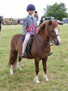 Image 273 in BECCLES AND BUNGAY RIDING CLUB OPEN SHOW. 17 JUNE 2018