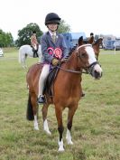 Image 274 in BECCLES AND BUNGAY RIDING CLUB OPEN SHOW. 17 JUNE 2018