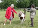 Image 29 in BECCLES AND BUNGAY RIDING CLUB OPEN SHOW. 17 JUNE 2018