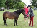 Image 30 in BECCLES AND BUNGAY RIDING CLUB OPEN SHOW. 17 JUNE 2018