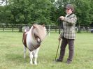 Image 31 in BECCLES AND BUNGAY RIDING CLUB OPEN SHOW. 17 JUNE 2018