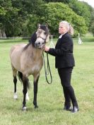 Image 33 in BECCLES AND BUNGAY RIDING CLUB OPEN SHOW. 17 JUNE 2018