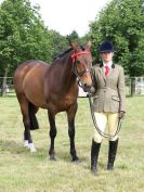 Image 35 in BECCLES AND BUNGAY RIDING CLUB OPEN SHOW. 17 JUNE 2018