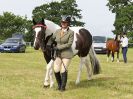 Image 36 in BECCLES AND BUNGAY RIDING CLUB OPEN SHOW. 17 JUNE 2018