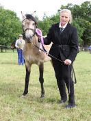 Image 40 in BECCLES AND BUNGAY RIDING CLUB OPEN SHOW. 17 JUNE 2018