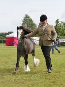 Image 41 in BECCLES AND BUNGAY RIDING CLUB OPEN SHOW. 17 JUNE 2018