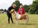 Image 43 in BECCLES AND BUNGAY RIDING CLUB OPEN SHOW. 17 JUNE 2018