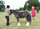 Image 45 in BECCLES AND BUNGAY RIDING CLUB OPEN SHOW. 17 JUNE 2018