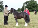 Image 46 in BECCLES AND BUNGAY RIDING CLUB OPEN SHOW. 17 JUNE 2018