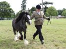 Image 47 in BECCLES AND BUNGAY RIDING CLUB OPEN SHOW. 17 JUNE 2018