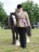 Image 50 in BECCLES AND BUNGAY RIDING CLUB OPEN SHOW. 17 JUNE 2018