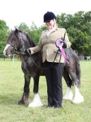 Image 51 in BECCLES AND BUNGAY RIDING CLUB OPEN SHOW. 17 JUNE 2018