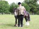 Image 52 in BECCLES AND BUNGAY RIDING CLUB OPEN SHOW. 17 JUNE 2018