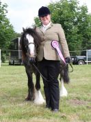 Image 56 in BECCLES AND BUNGAY RIDING CLUB OPEN SHOW. 17 JUNE 2018