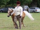 Image 57 in BECCLES AND BUNGAY RIDING CLUB OPEN SHOW. 17 JUNE 2018