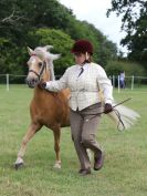 Image 59 in BECCLES AND BUNGAY RIDING CLUB OPEN SHOW. 17 JUNE 2018