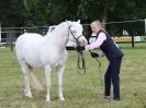 Image 60 in BECCLES AND BUNGAY RIDING CLUB OPEN SHOW. 17 JUNE 2018