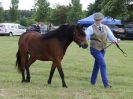 Image 61 in BECCLES AND BUNGAY RIDING CLUB OPEN SHOW. 17 JUNE 2018