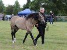 Image 62 in BECCLES AND BUNGAY RIDING CLUB OPEN SHOW. 17 JUNE 2018