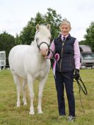 Image 64 in BECCLES AND BUNGAY RIDING CLUB OPEN SHOW. 17 JUNE 2018