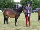 Image 65 in BECCLES AND BUNGAY RIDING CLUB OPEN SHOW. 17 JUNE 2018