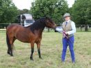 Image 66 in BECCLES AND BUNGAY RIDING CLUB OPEN SHOW. 17 JUNE 2018