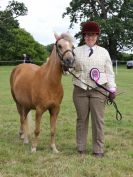 Image 68 in BECCLES AND BUNGAY RIDING CLUB OPEN SHOW. 17 JUNE 2018