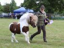 Image 69 in BECCLES AND BUNGAY RIDING CLUB OPEN SHOW. 17 JUNE 2018